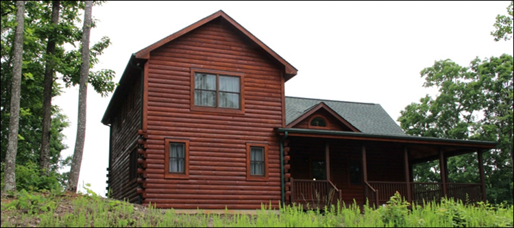 Professional Log Home Borate Application  Warrenton,  North Carolina